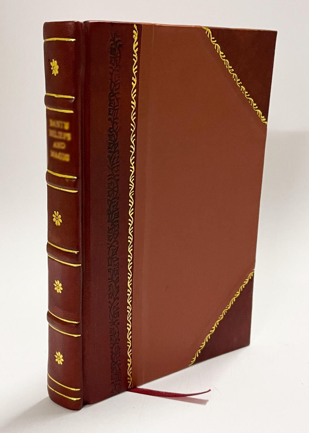 The Three Hundred and First Engineers; a History, 1917-1919 [Leather Bound]