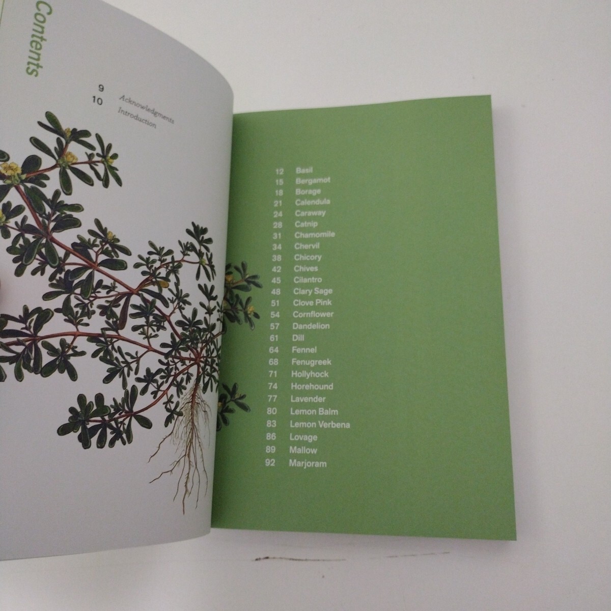 Herbal Handbook Paperback 51 Profiles in Words & Art 1st ed. 2022 NY Botanical