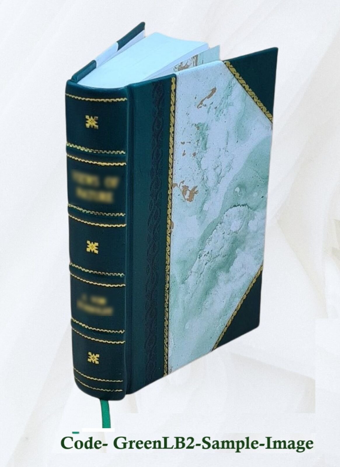 Atonement Soteriology 1888 By S. G. Burney [Leather Bound]