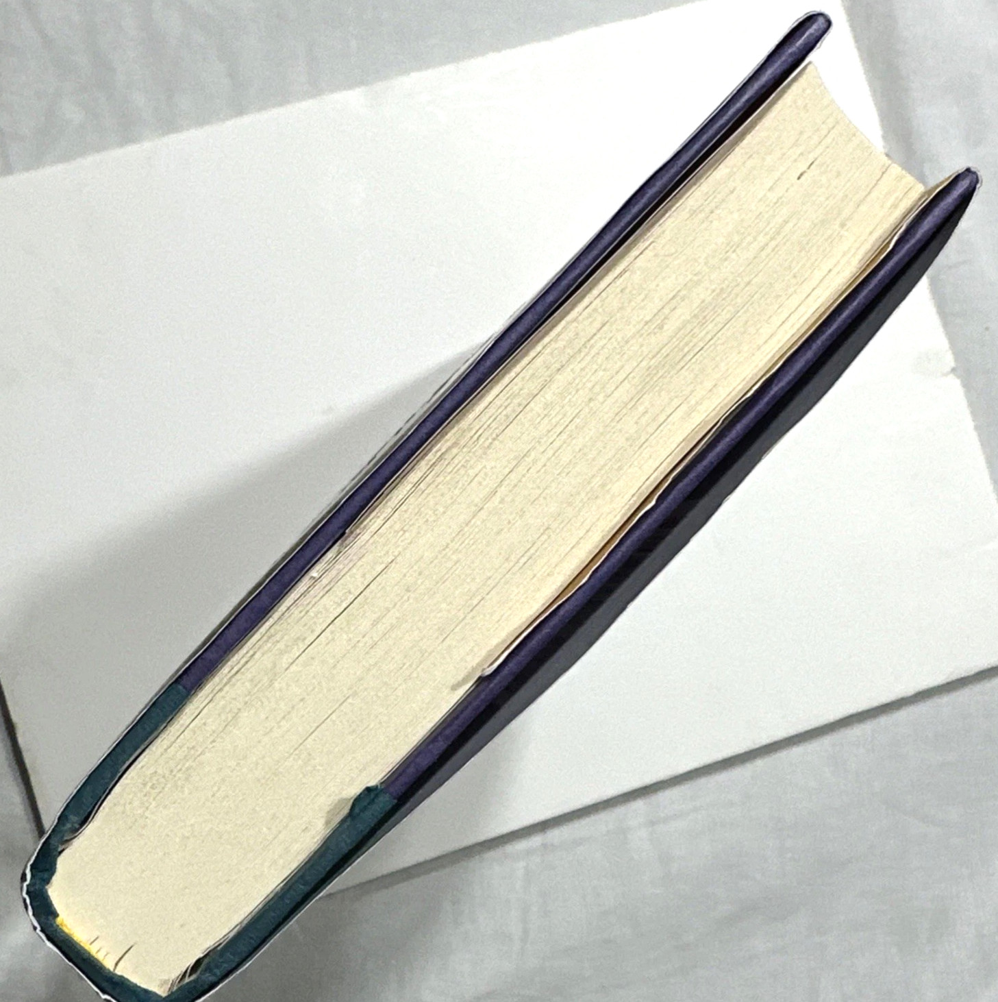 The Lion Women of Tehran Hardcover Book Novel Marjan Kamali