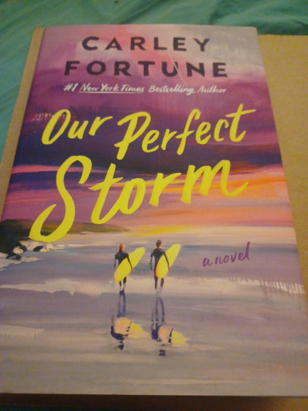 Our Perfect Storm by Carley Fortune (2026, Hardcover)