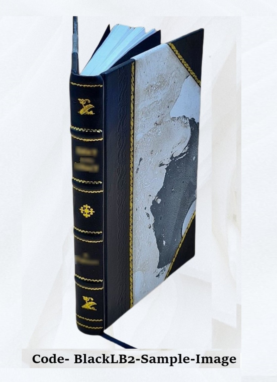 Electrical times 1902 [Leather Bound]