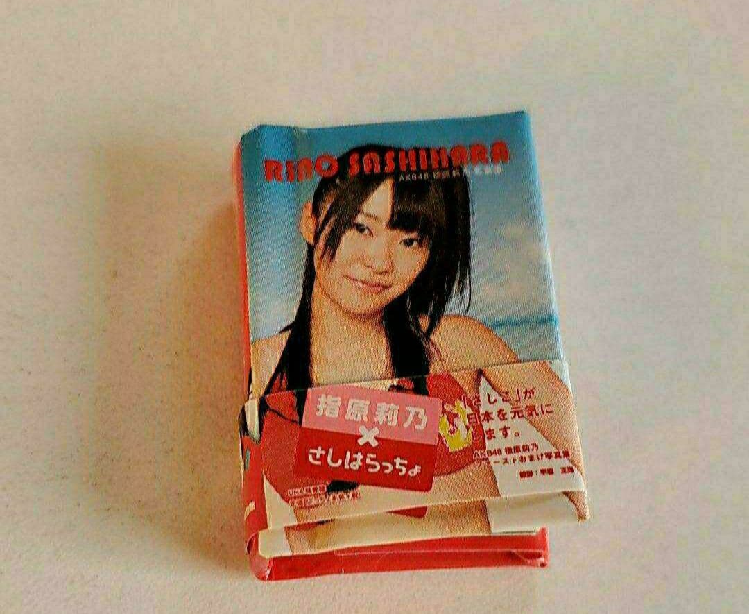 AKB48 Mini Photobook Rino Sashihara Puccho 3.5×2.4in Japanese Idol