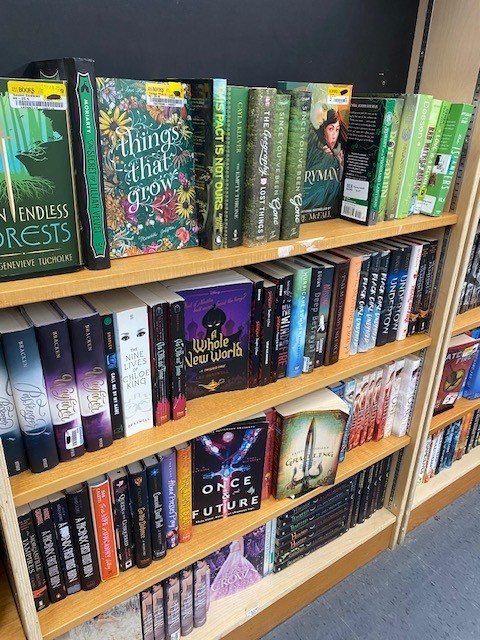 Lot of 10 Young Adult YA Books – Teen Fiction Novels Mixed Genres Bulk Lot