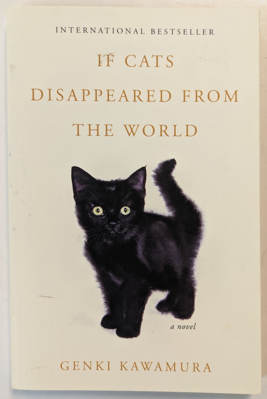 If Cats Disappeared from the World by Kawamura, Genki Paperback
