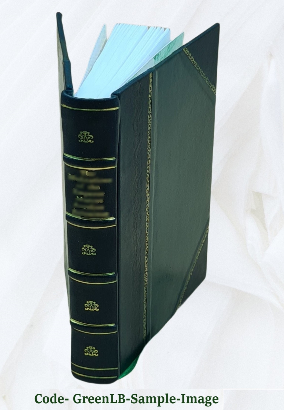Atonement Soteriology 1888 By S. G. Burney [Leather Bound]
