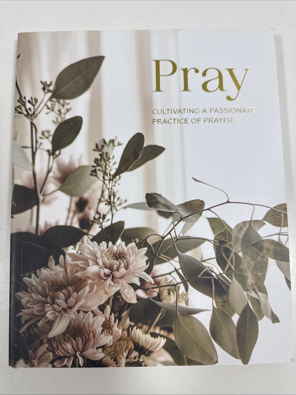Pray | Cultivating a Passionate Practice of Prayer Workbook Turner Book PB