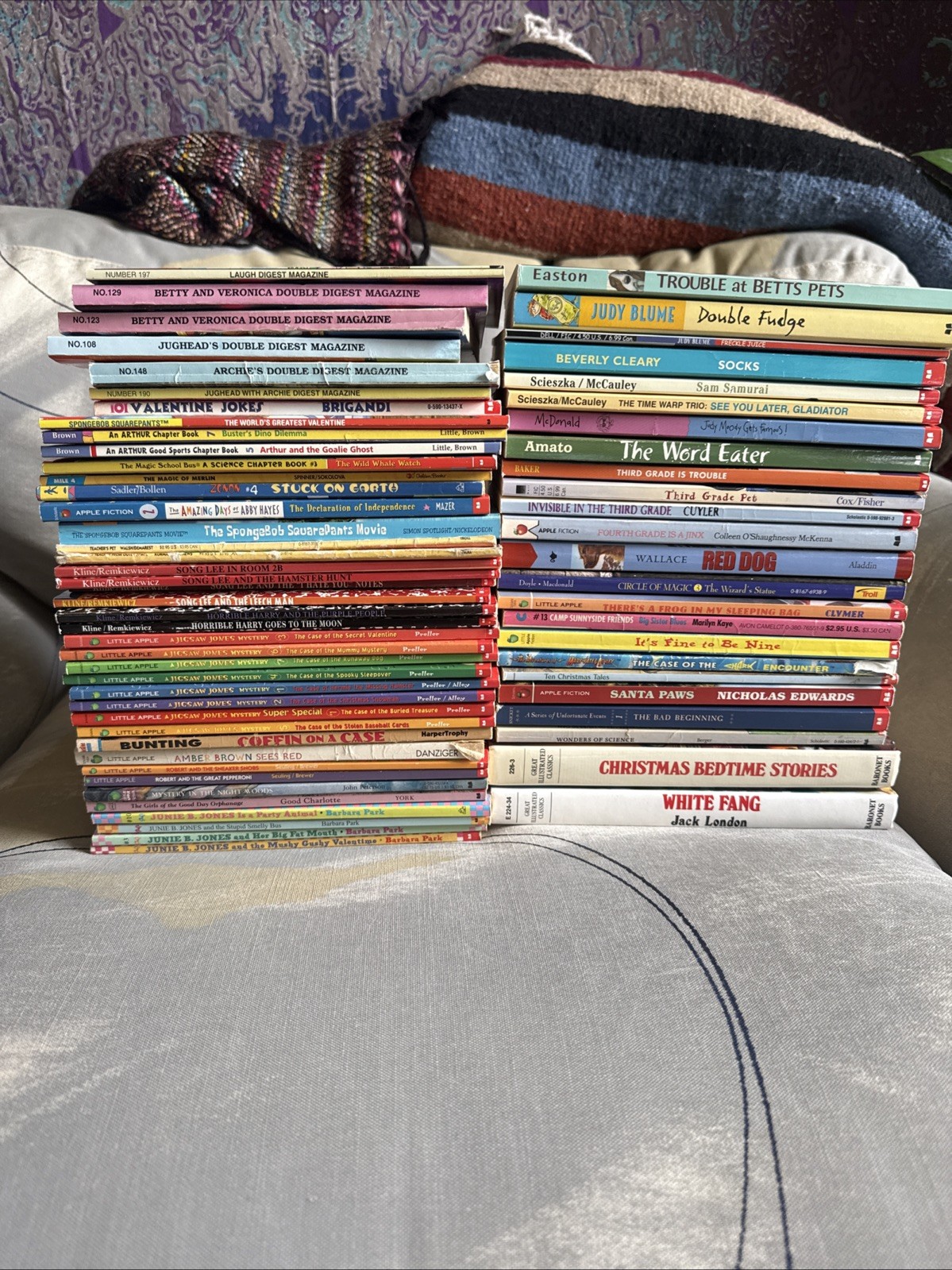 Mixed Lot Of 65 Children’s Chapter Paperback Books Scholastic Little Apple
