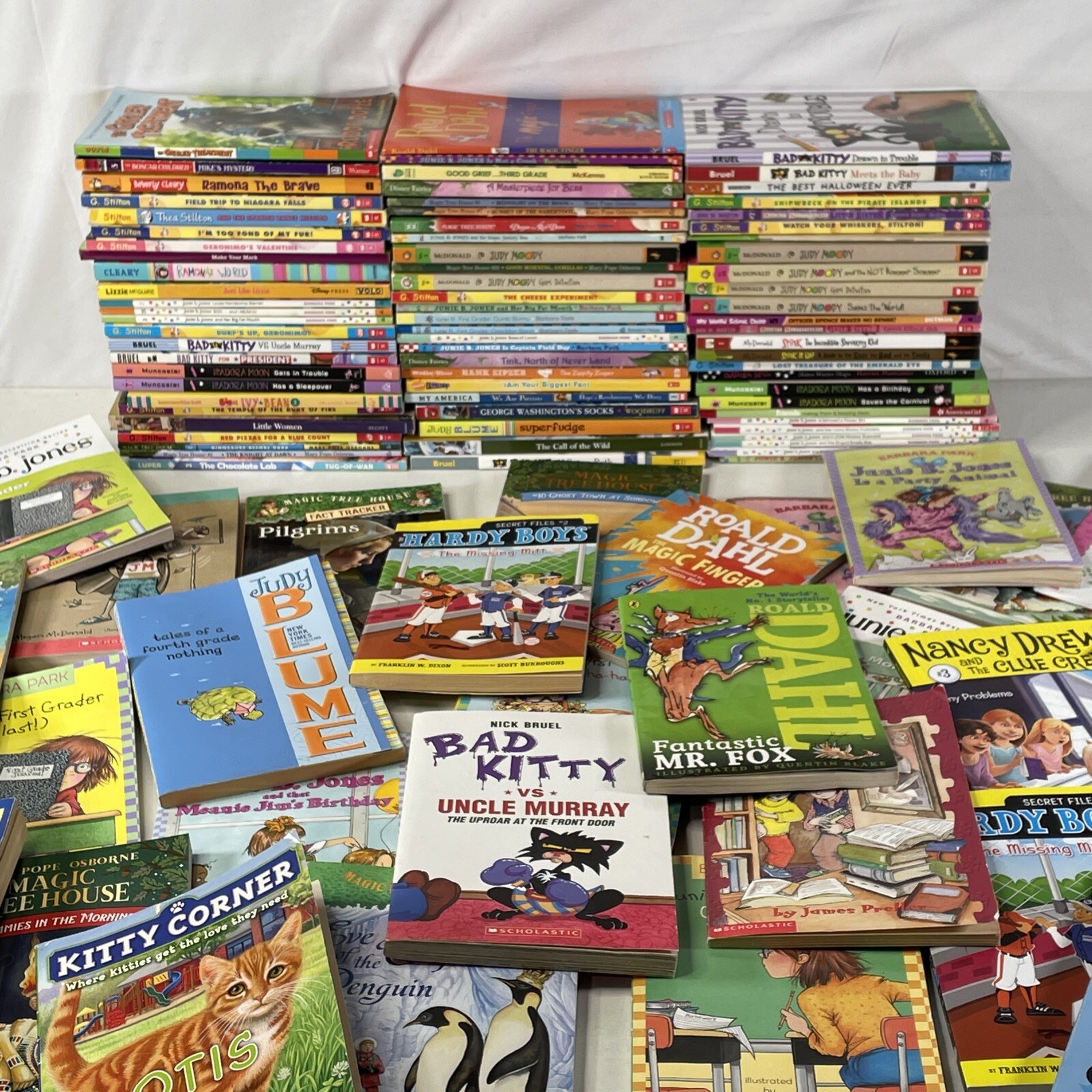 Bulk/Huge Lot of 50 Children’s Kids Chapter Books – Random – Free Shipping!