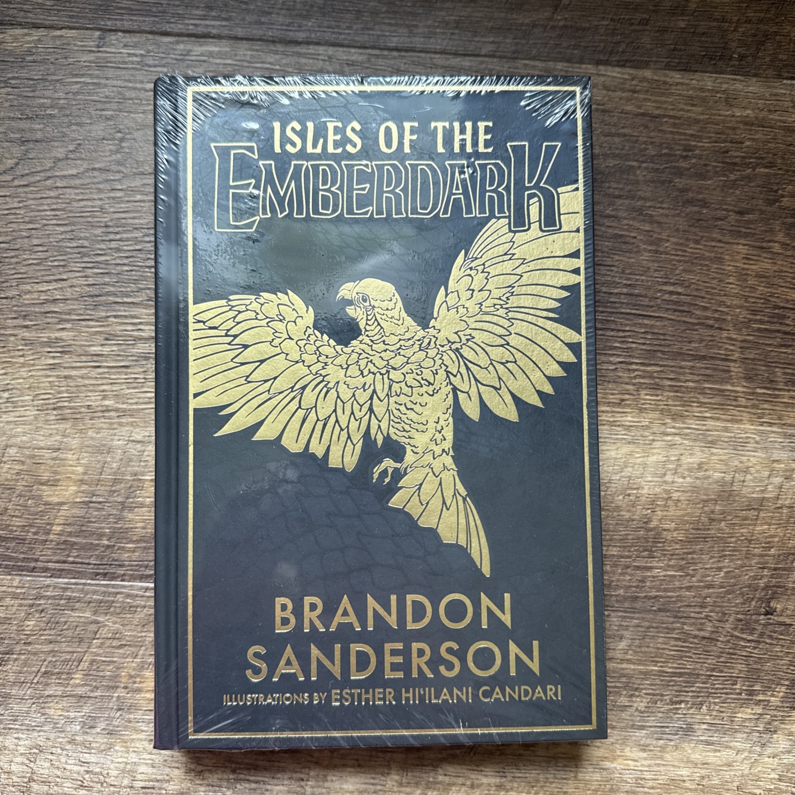 Isles of the Emberdark Premium Hardcover Brandon Sanderson – Dragonsteel Edition