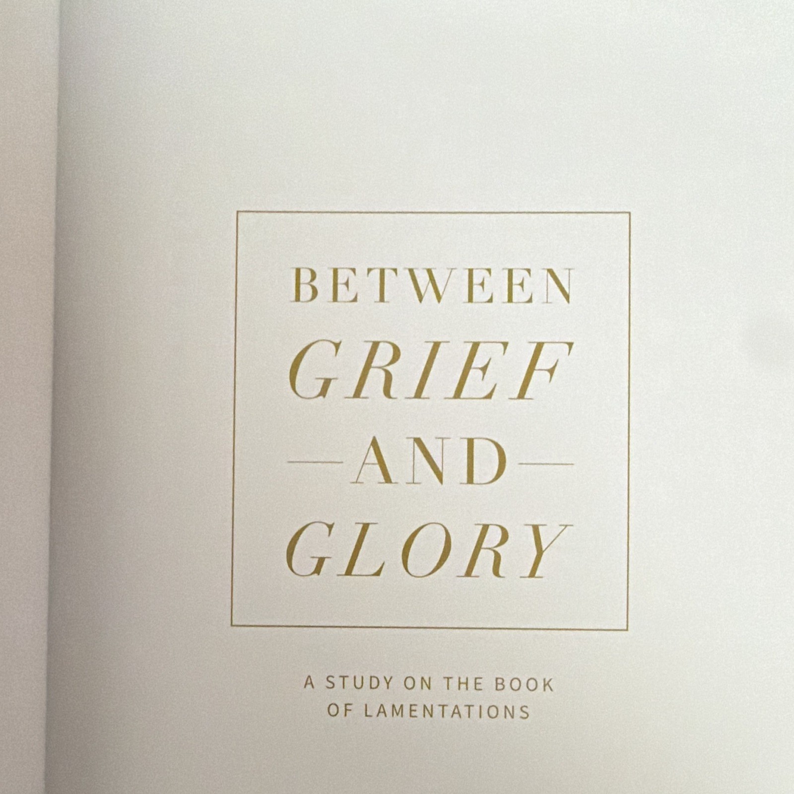 The Daily Grace Co Between Grief and Glory Bible Study Lamentations PB 2020