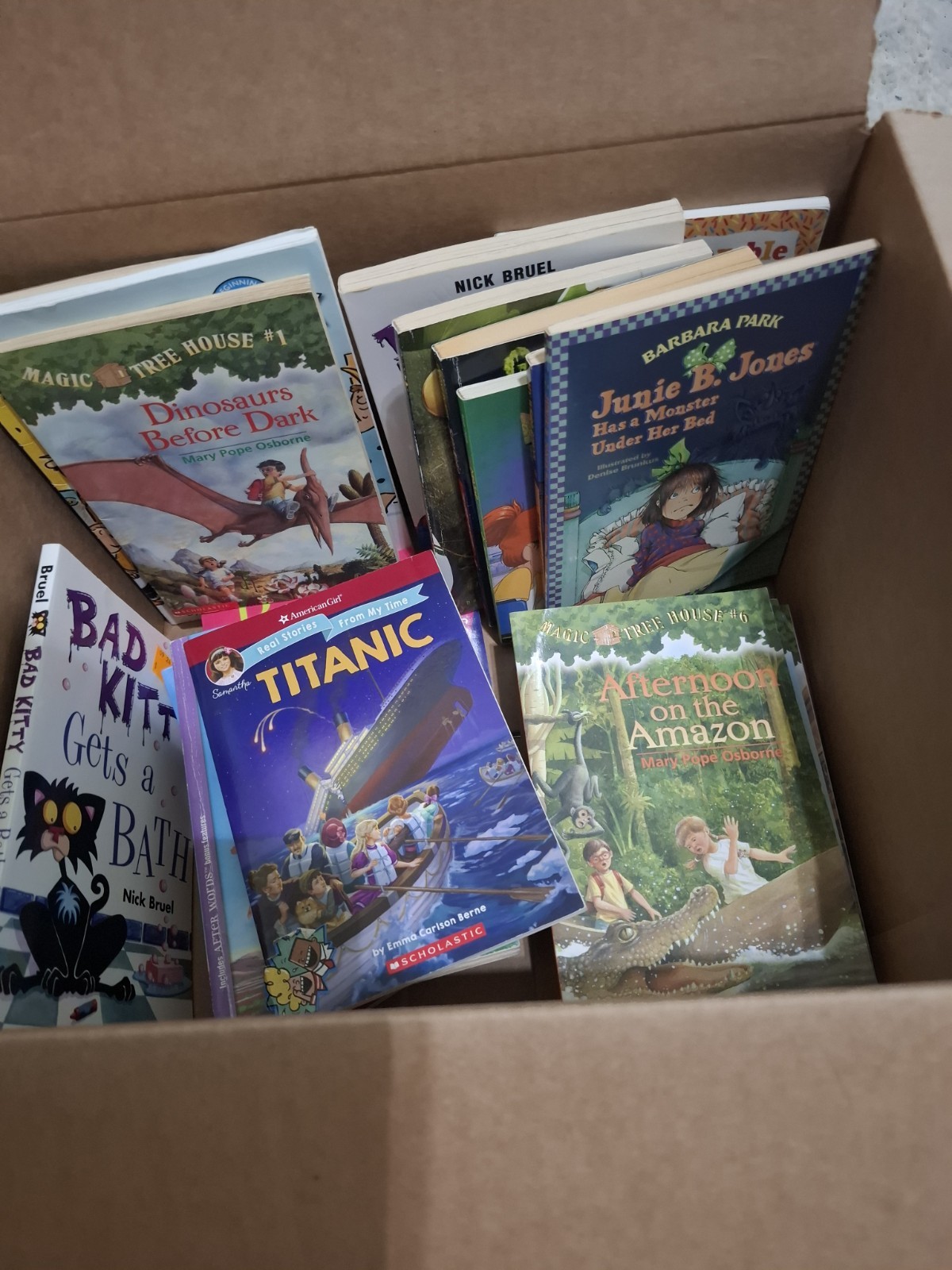 Bulk Huge Lot of 25 Children Kids Chapter Books Random Selection FREE SHIPPING