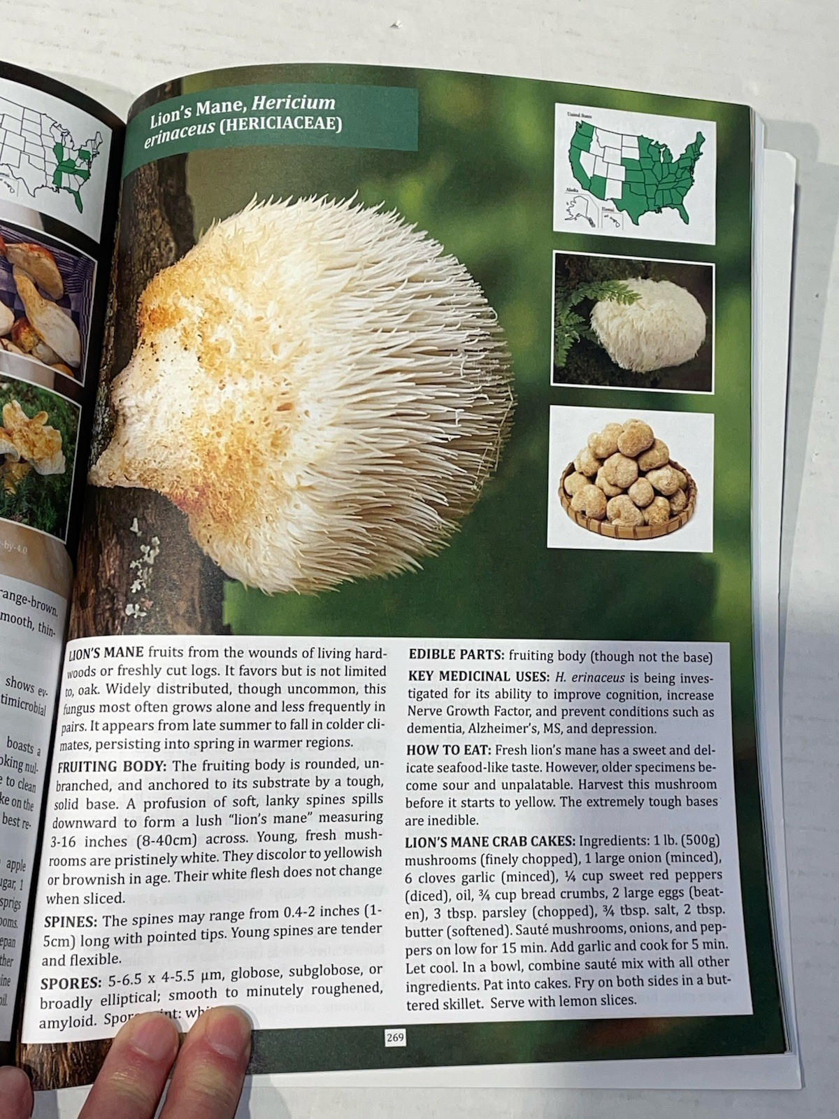 The Forager’s Guide to Wild Foods Book By Nicole Apelian, 2021 North American Ed