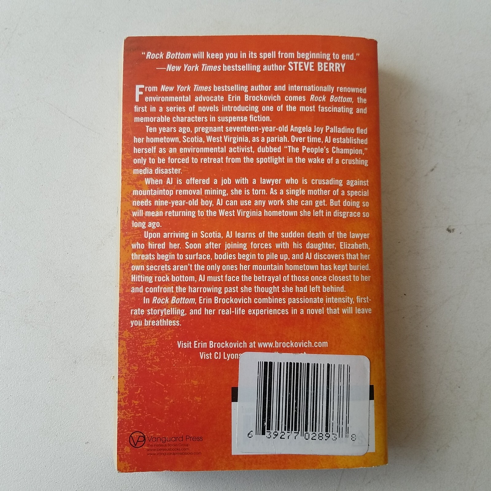 Rock Bottom by Erin Brockovich (2011, UK- A Format Paperback)