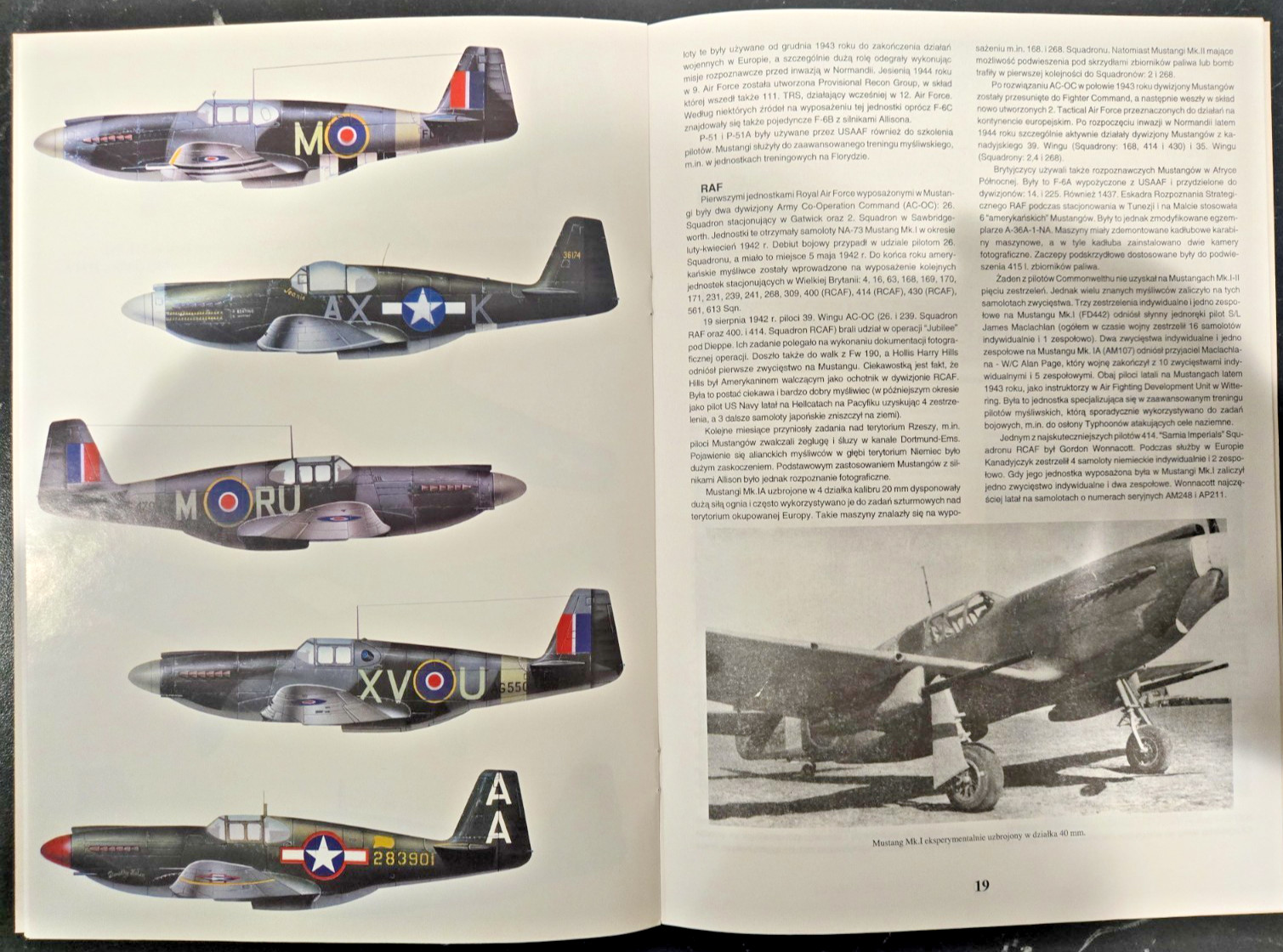 P-51 P-51A A-36 MUSTANG – Seria Pod Lupa #1 – Polish w/English Summary