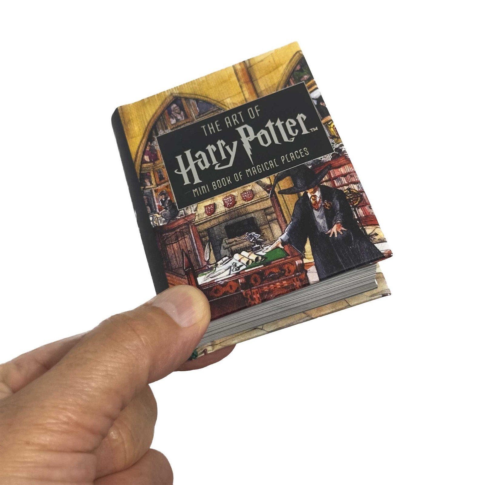 gift Mini Book the Art of Harry Potter Magical Places hardcover 304 color pages
