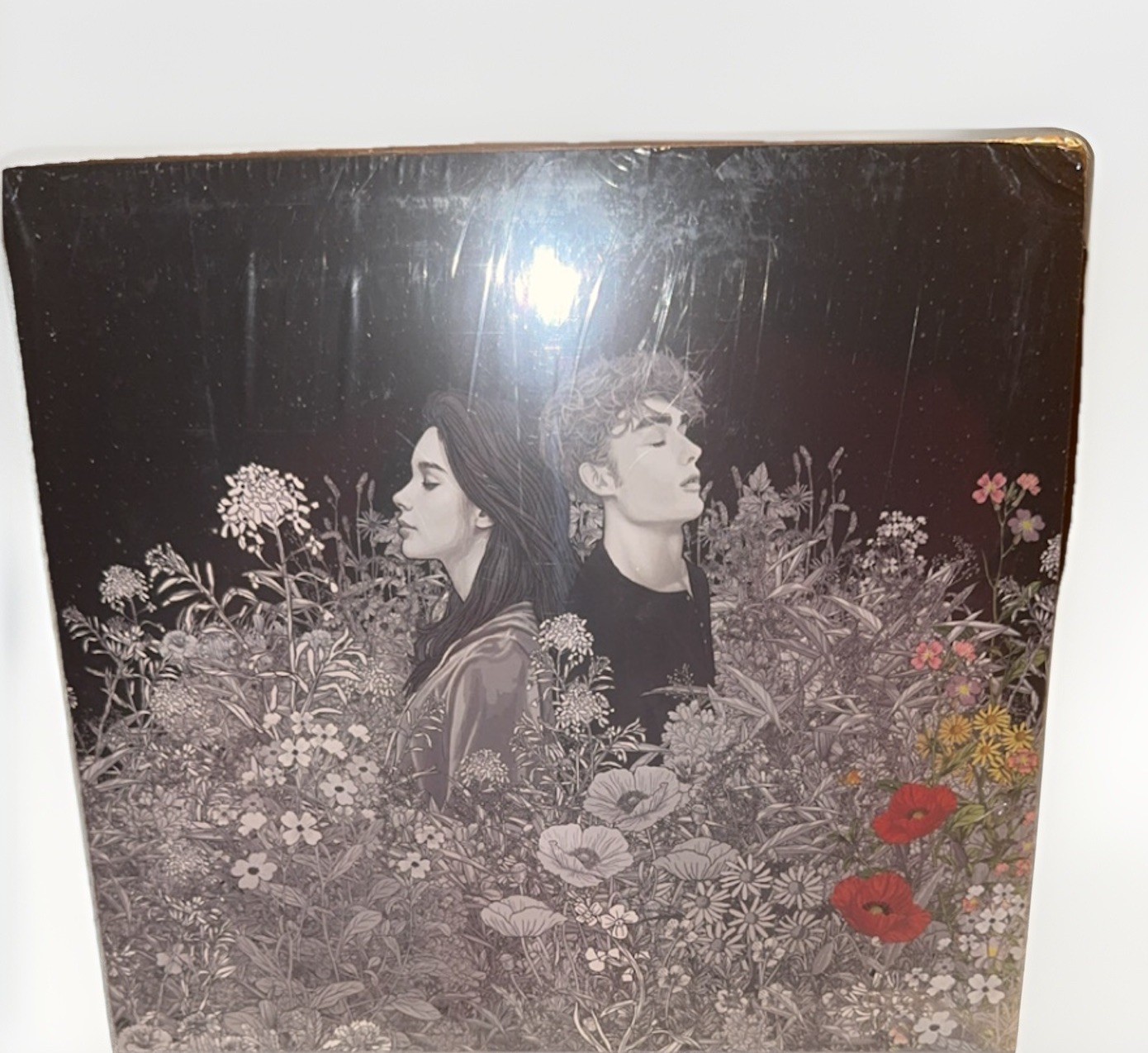 Stephanie Meyer The Twilight Saga Deluxe Collection Complete Series Boxset-New