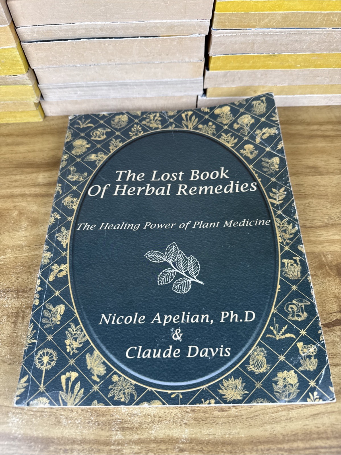 The Lost Book Of Herbal Remedies Healing Power Plant Medicine Paperback