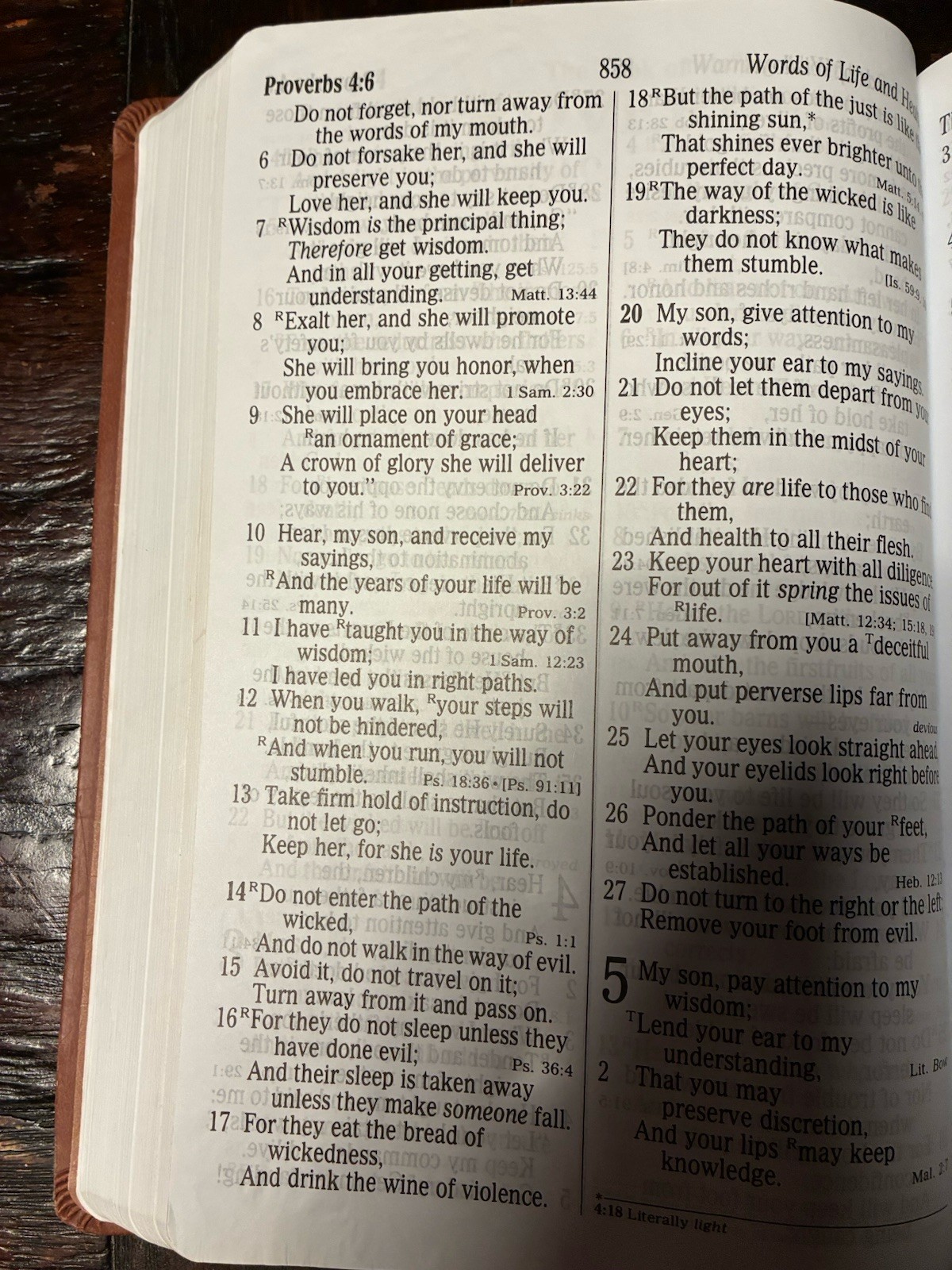 Brown Leathersoft NKJV Giant Print 16 Point