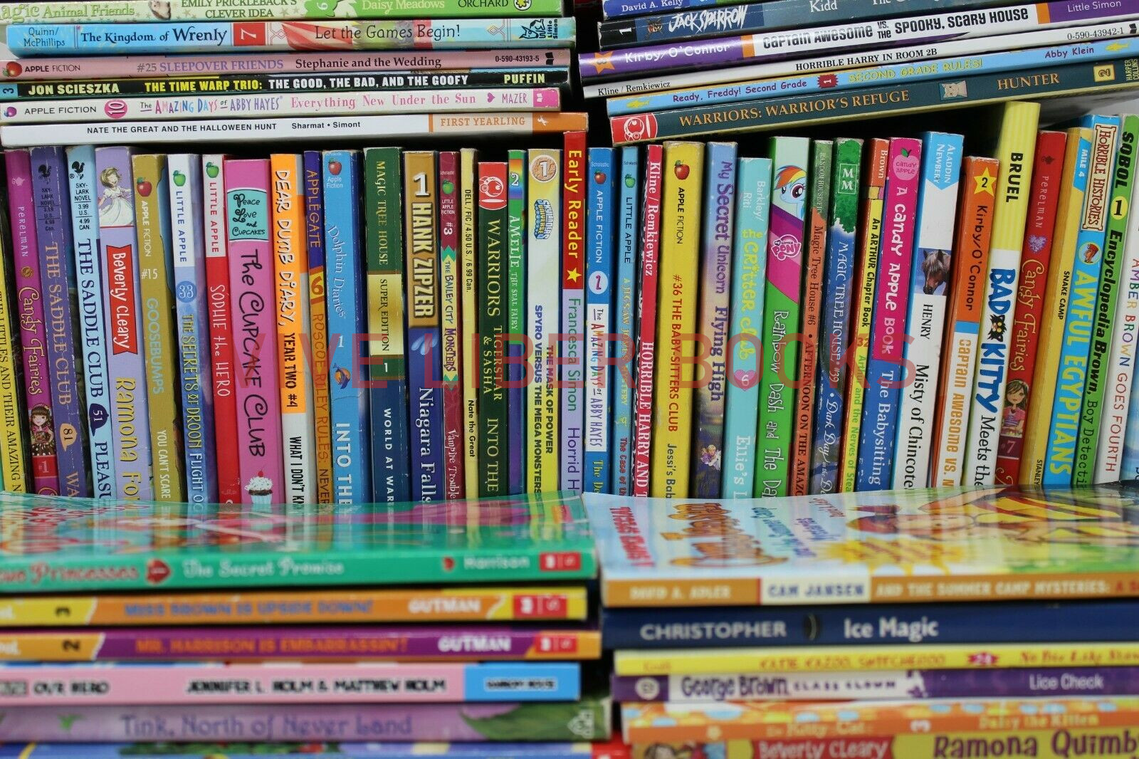 Bulk/Huge Lot of 50 of Children’s Kids Chapter Books – Random – Free Shipping!