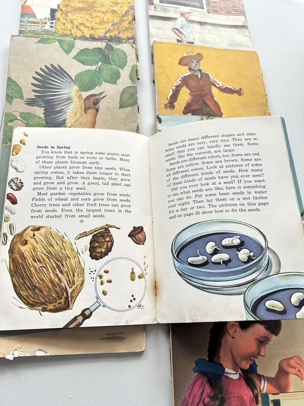 Glenn Blough 1950’s Paperback Children’s Books Set Of 9 FRAGILE