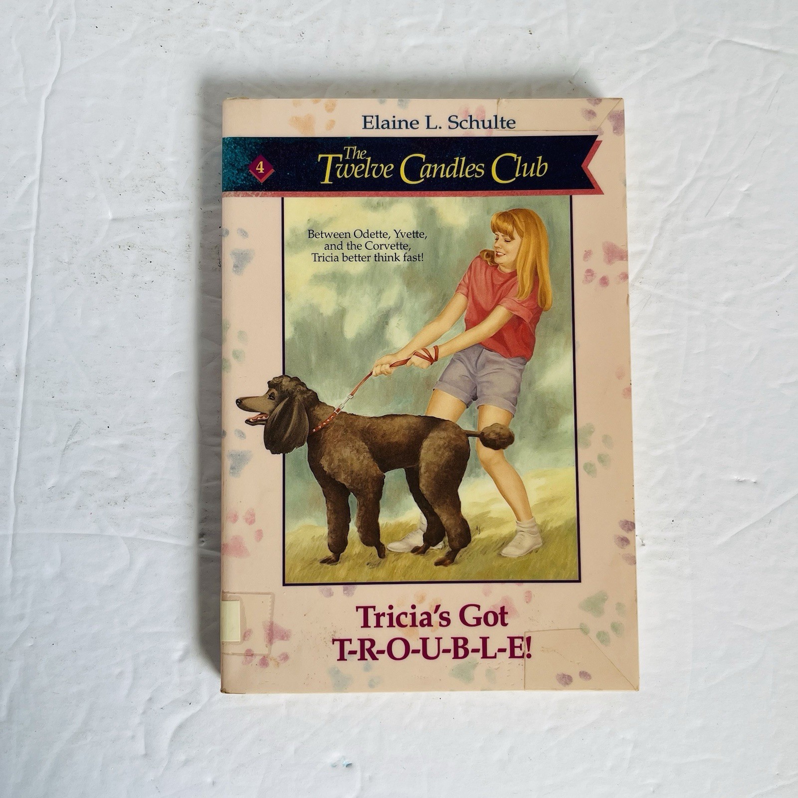 Twelve Candles Club Books 1-5 Set Elaine Schulte 1990s Christian Fiction Lot
