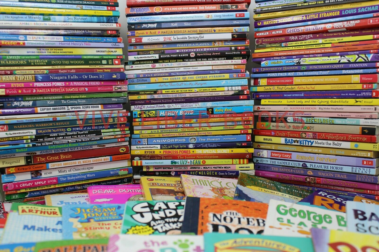 Bulk/Huge Lot of 50 of Children’s Kids Chapter Books – Random – Free Shipping!