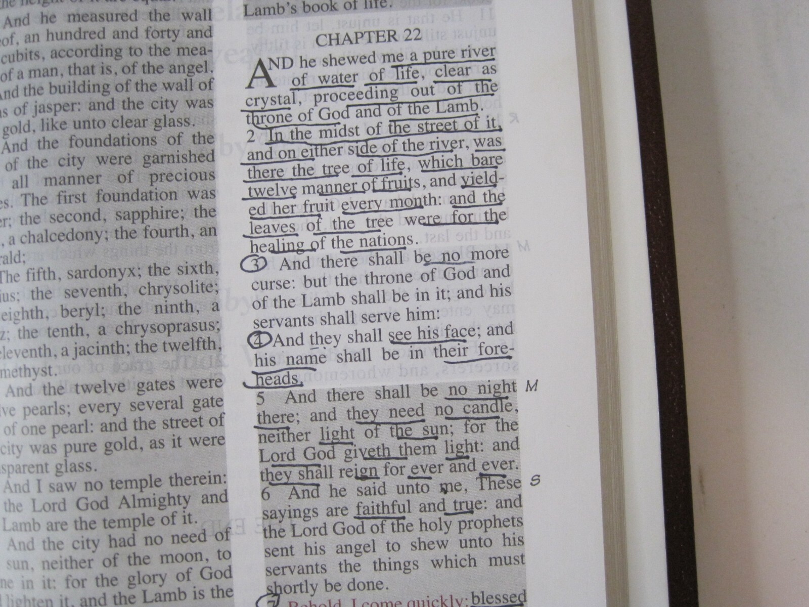Jack Van Impe Prophecy Bible KJV Limited Special Edition Red Letter Ed. Burgandy