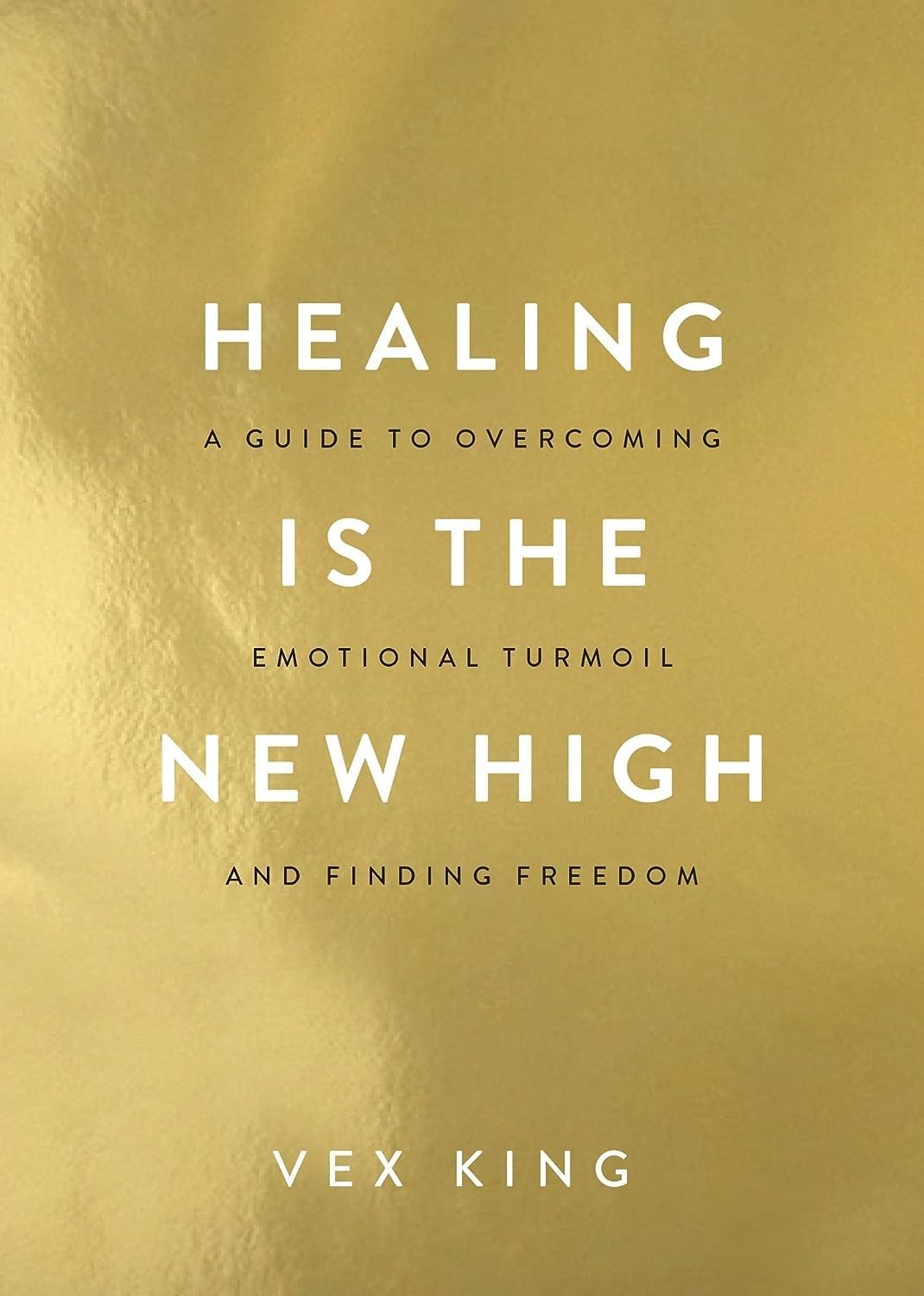 HAY HOUSE INDIA Healing Is the New High: A Guide to Overcoming E
