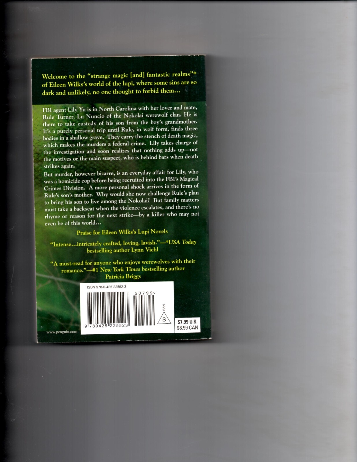 Mortal Sins by Eileen Wilks (2009, Uk- a Format Paperback)