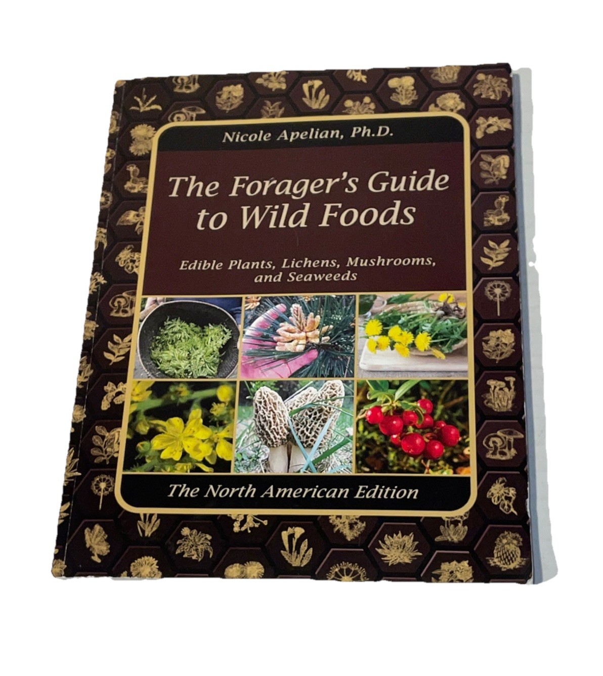 The Forager’s Guide to Wild Foods Book By Nicole Apelian, 2021 North American Ed