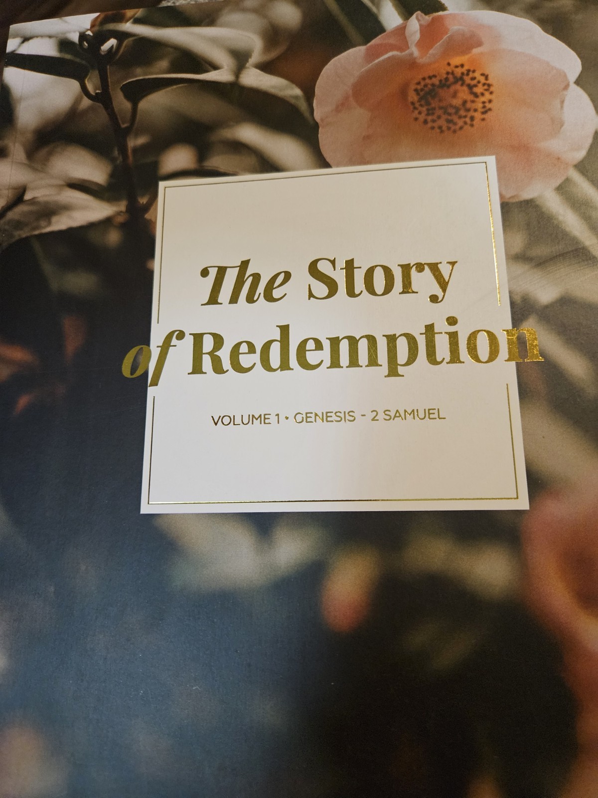 The Daily Grace Co Story Of Redemption Volumes 1-3 Paperback