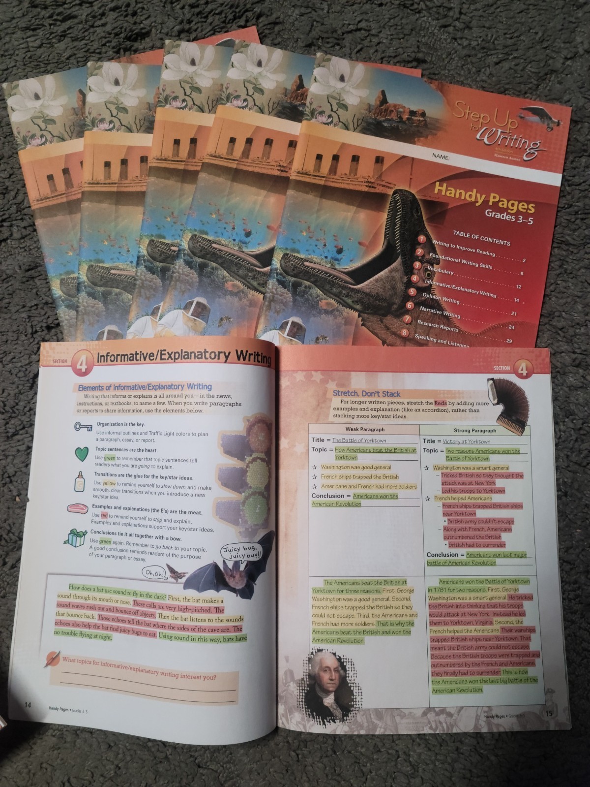 * Step Up to Writing Grades 3-5 HANDY PAGES *