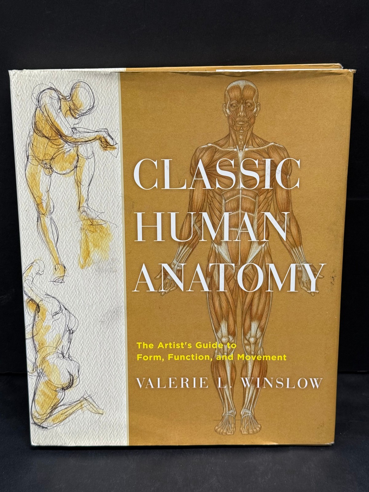Classic Human Anatomy Valerie L. Winslow Hardcover 2008 Art Reference Book