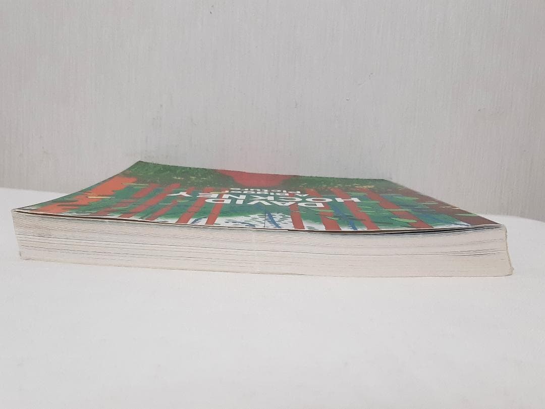 David Hockney A Bigger Picture Art Book English 301 Pages Used