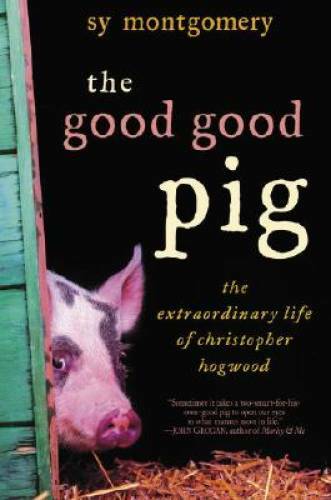 The Good Good Pig: The Extraordinary Life of Christopher Hogwood – GOOD