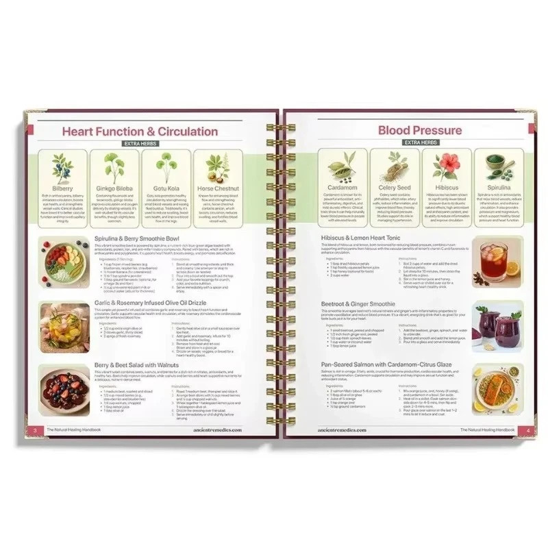 The Natural Healing Handbook, Spiral-Bound Guide for Herbal Remedies and Natural