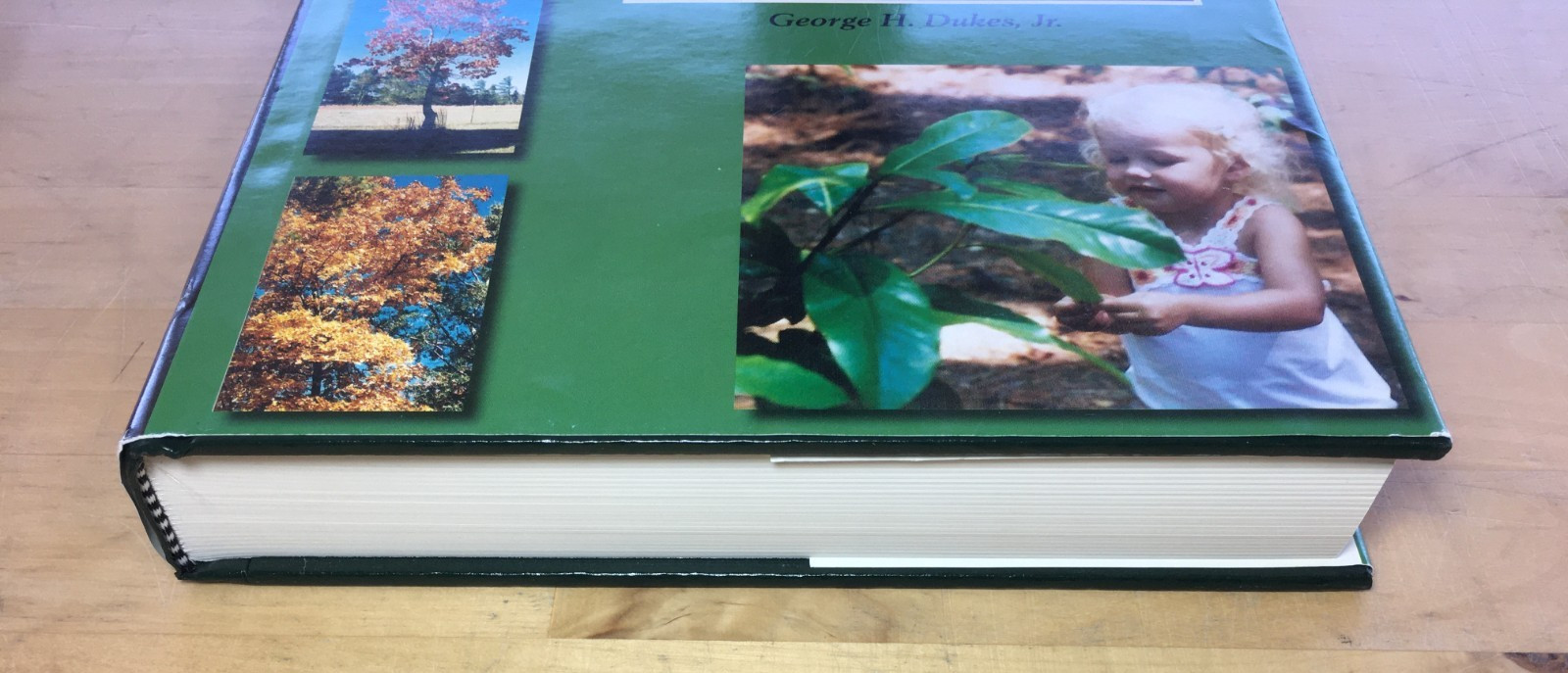 An Identification Guide to Trees and Other Woody Plants of Mississippi and…