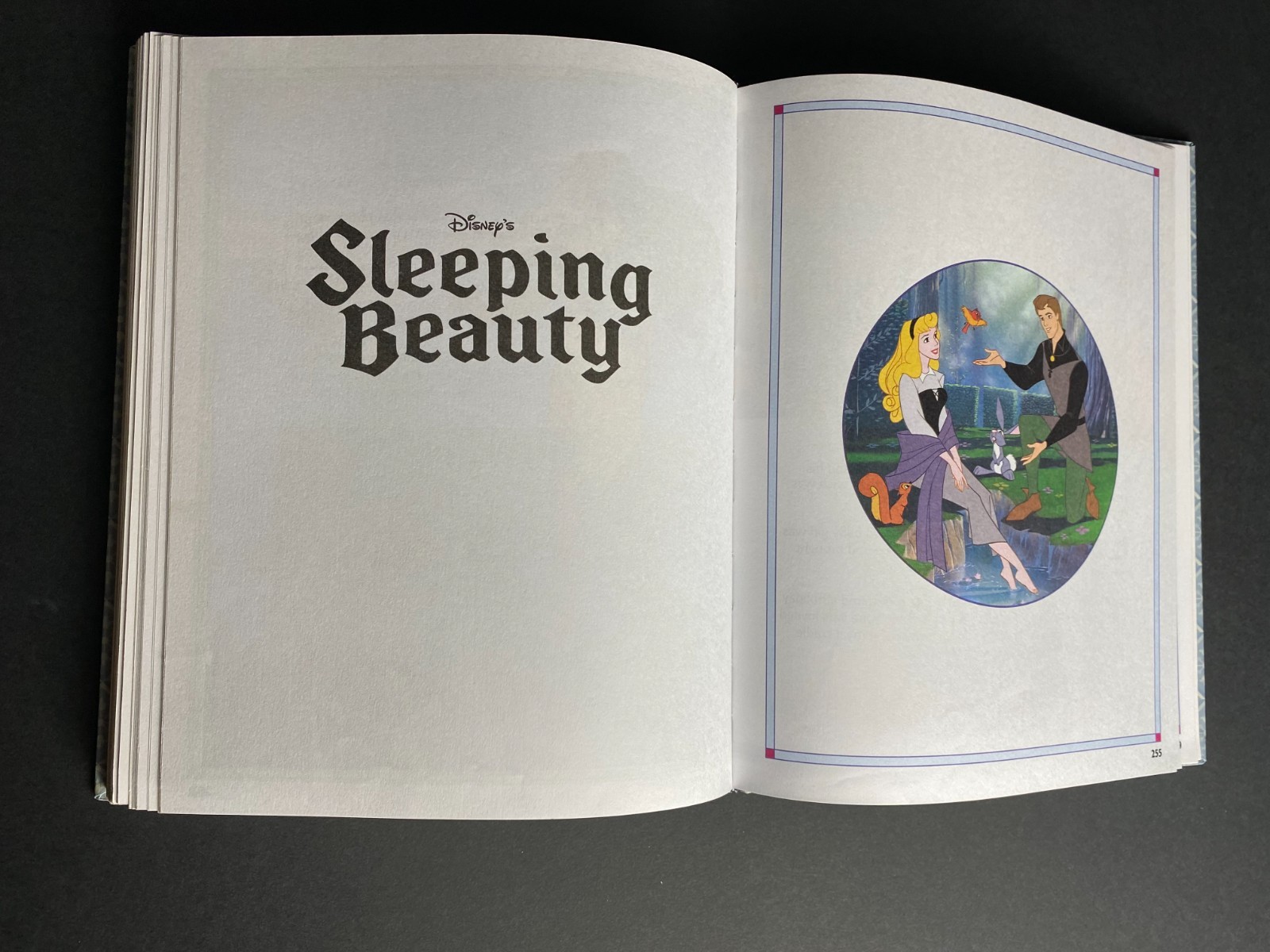Disney Enchanted Tales Book 2005 301 Pages