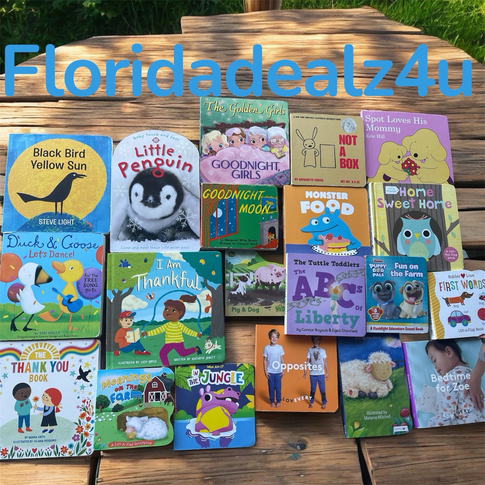 Lot of 20 – Board Books for Children’s/ Kids/ Toddler Babies/Preschool/Daycare