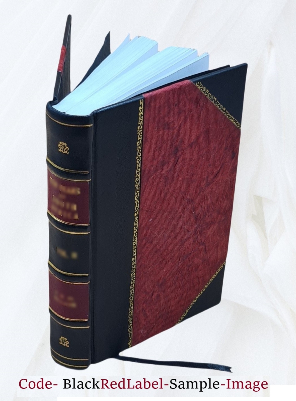 Atonement Soteriology 1888 By S. G. Burney [Leather Bound]