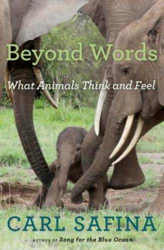 Beyond Words: What Animals Think and Feel – Hardcover By Safina, Carl – GOOD