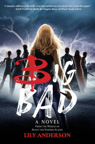 Big Bad – Hardcover By Anderson, Lily – VERY GOOD