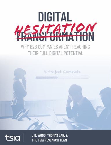 Digital Hesitation: Why B2B Companies Aren- 9780986046261, Thomas Lah, paperback