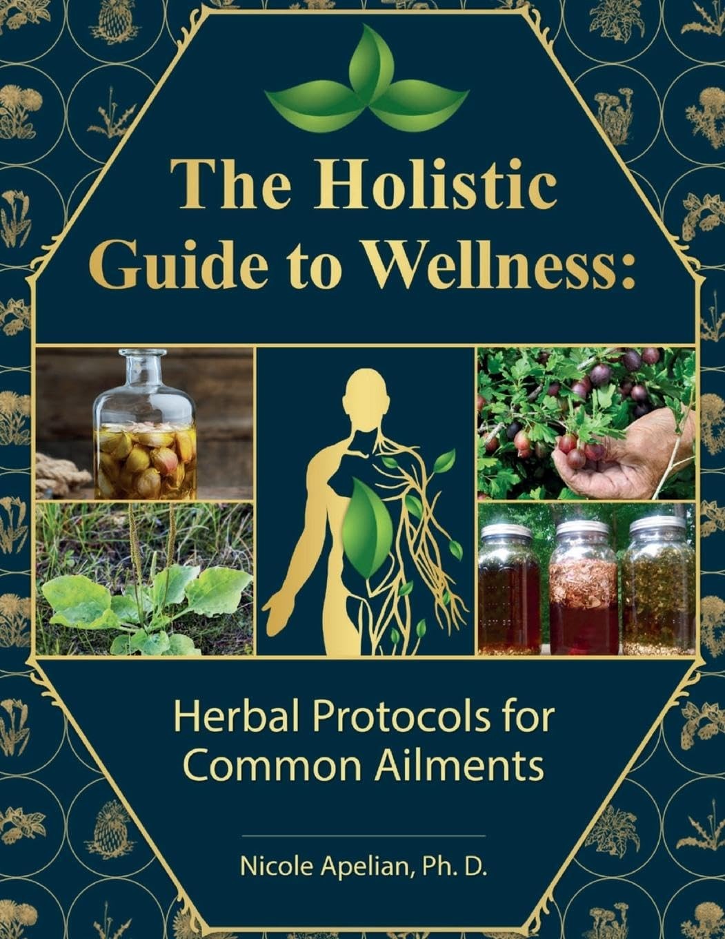 The Holistic Guide to Wellness : Herbal Protocols for Common Ailments – pape…