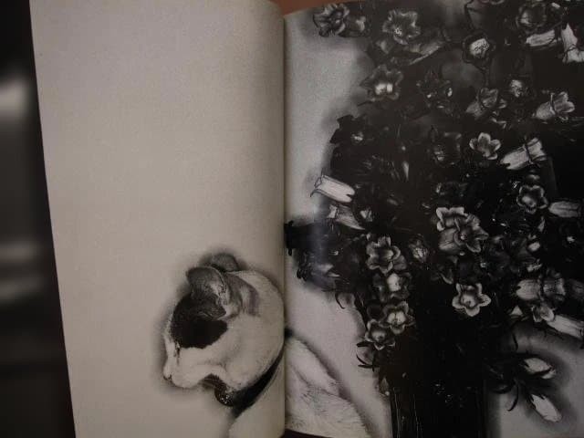 Nobuyoshi Araki “Erotos” Photo Book First edition Hardcover Japanese