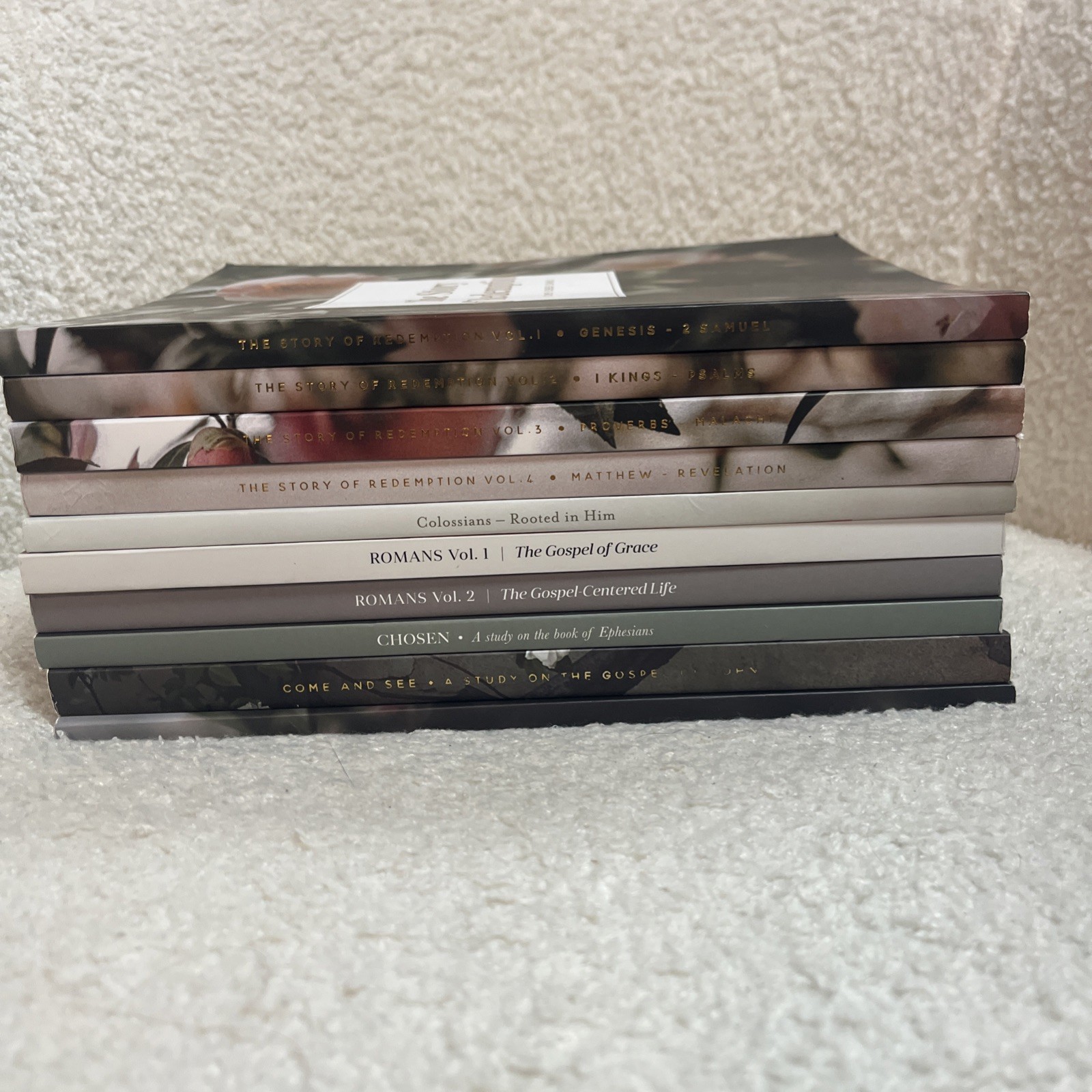 Lot 10 The Daily Grace Co Bible Study Guides New Testament Story Of Redemption