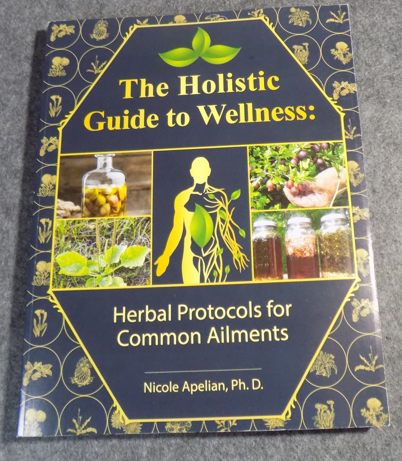 The Holistic Guide to Wellness Apelian 2024 Herbal Protocols Naturopathy Global