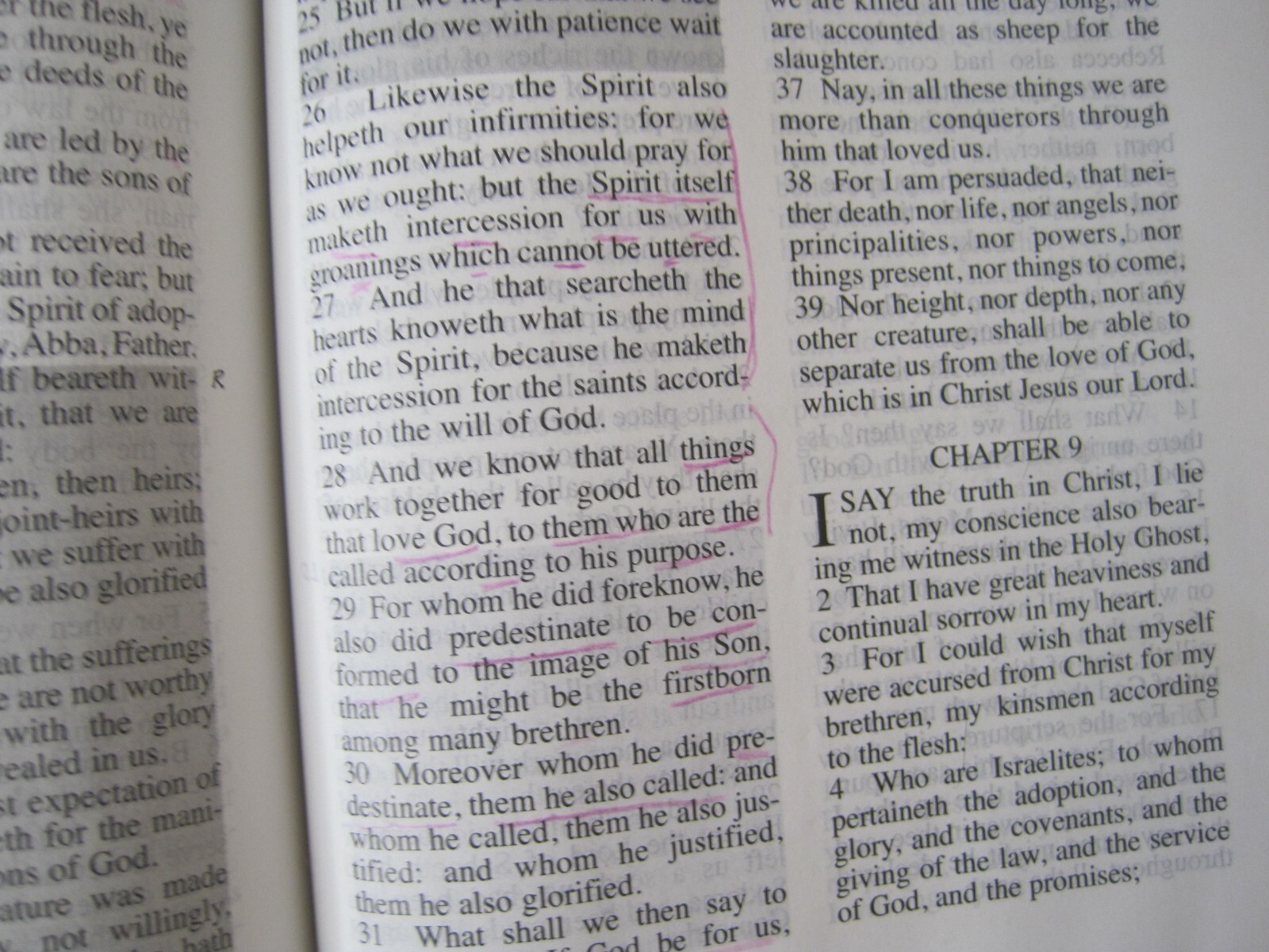 Jack Van Impe Prophecy Bible KJV Limited Special Edition Red Letter Ed. Burgandy