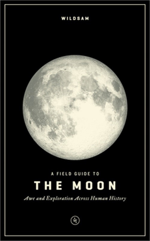 The Moon (Paperback or Softback)